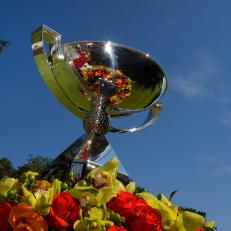 ATLANTA, GA - SEPTEMBER 25: The FedExCup Trophy is displayed on the first hole during the final round of the TOUR Championship, the final event of the FedExCup Playoffs, at East Lake Golf Club on September 25, 2016 in Atlanta, Georgia. (Photo by Stan Badz/PGA TOUR)