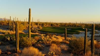 Golf Club At Dove Mountain: Saguaro/Tortolita/Wild Burro