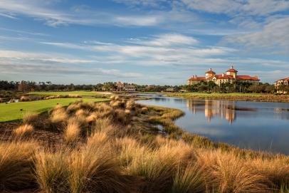 Tiburon Golf Club: Gold